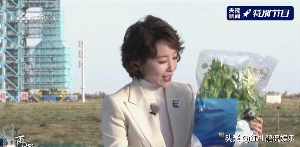 主持人刘妙然近况,央视刘妙然简历