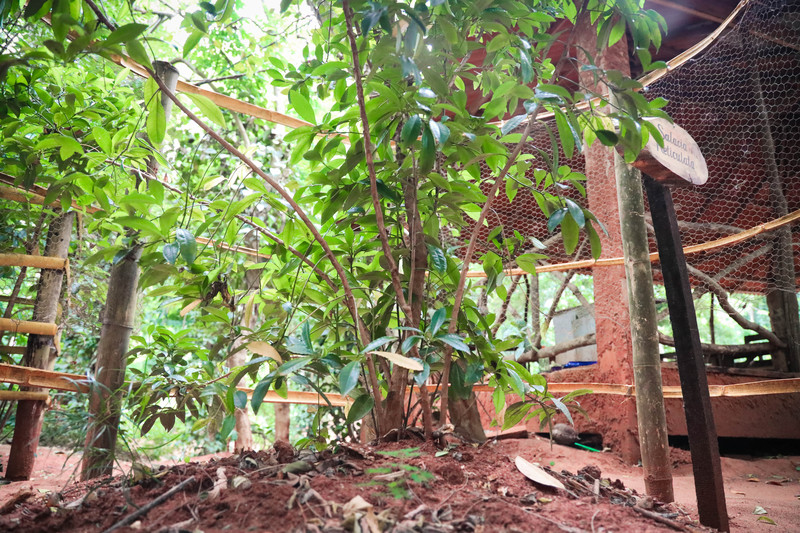 斯里兰卡旅游攻略必去景点,斯里兰卡最佳旅游攻略