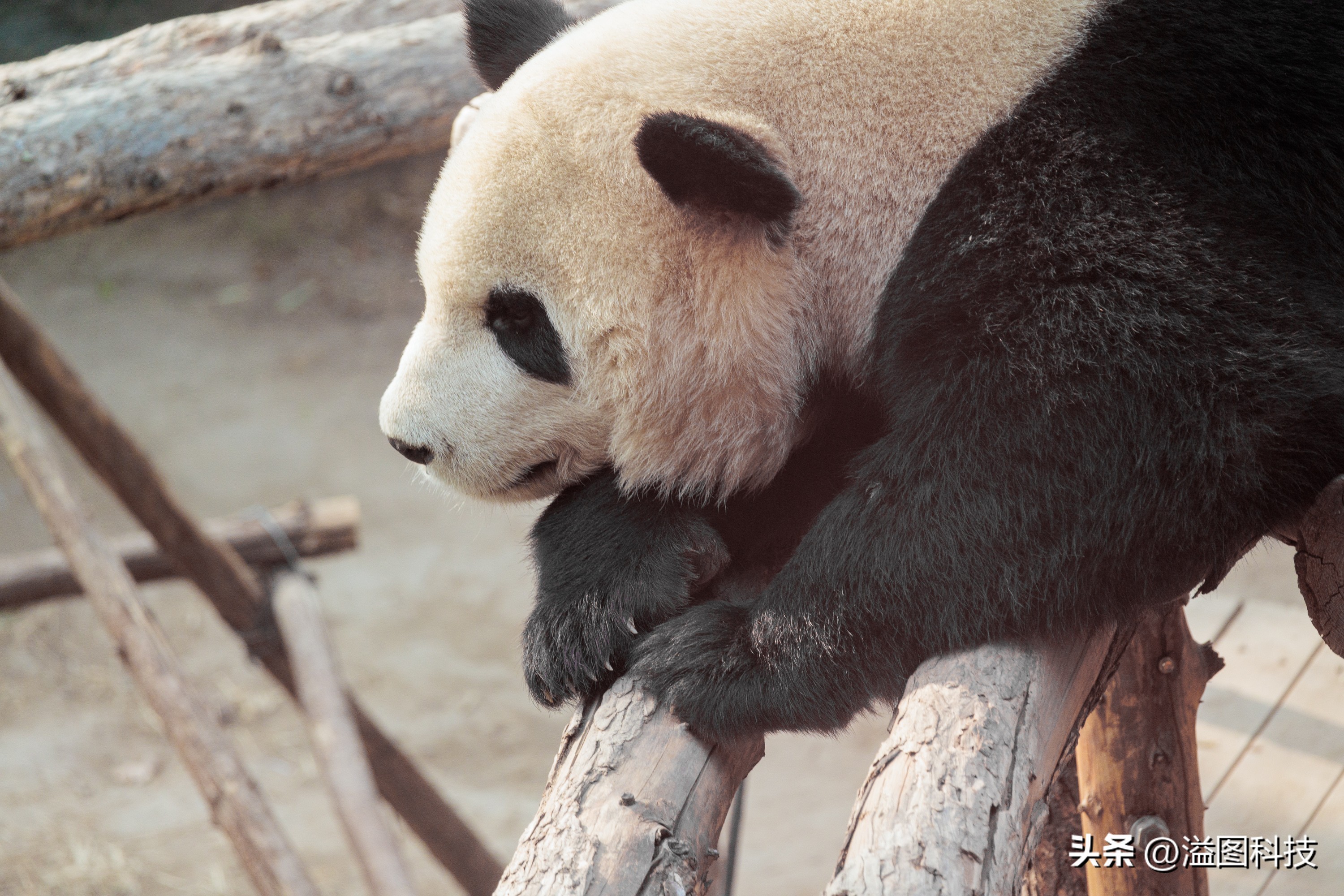 佳能rf-s55-210mm,和儿子感受大自然的气息和美景