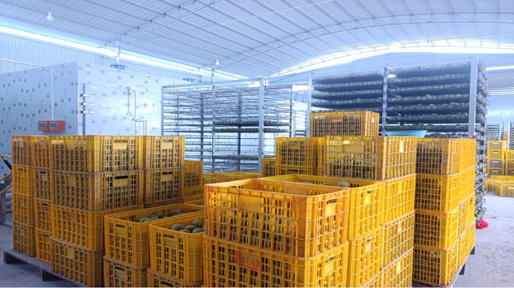 小型鸡粪烘干设备价格表,烘干鸡粪多少钱一吨批发