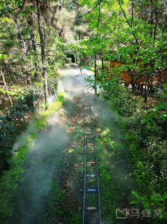 好玩的遛娃公园成都,成都南边公园免费景点