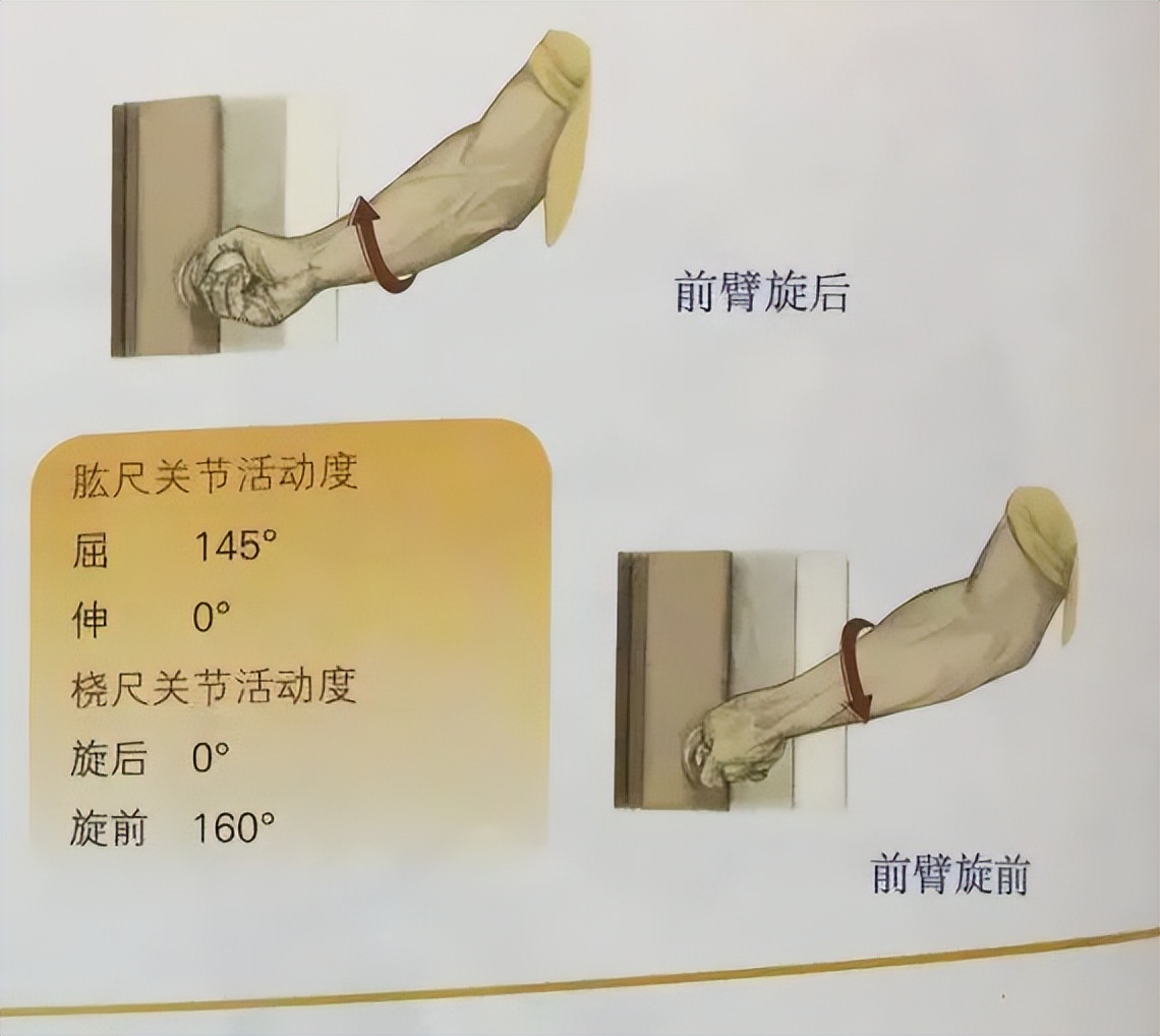 内旋发力的训练方法,羽毛球如何内旋发力