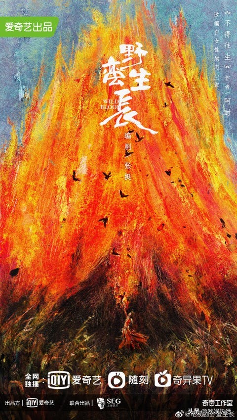 2020年末必看电视剧推荐,2022年高分电视剧推荐