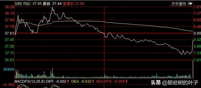 我是一名数控技术员工厂上班月薪2万，今年4月份买隆基绿能亏29万