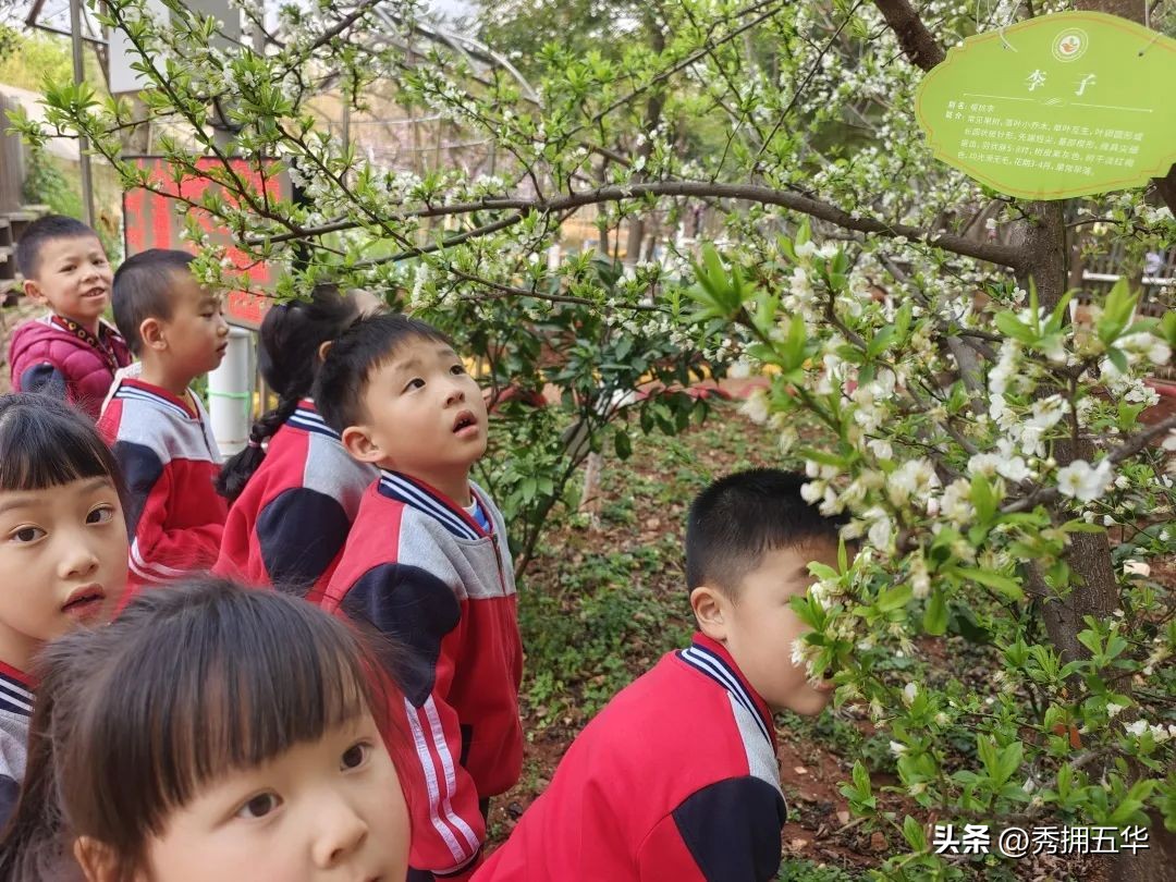 把春天装进校园里作文,把春天装进眼里