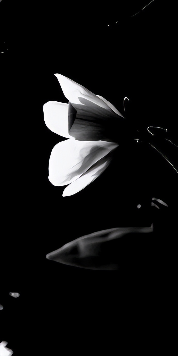 黑暗系壁纸黑底文字,黑暗色系的壁纸