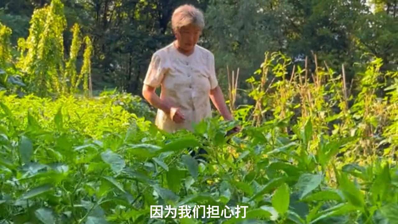 离婚后才明白前夫之前依赖家里,离婚后醒悟