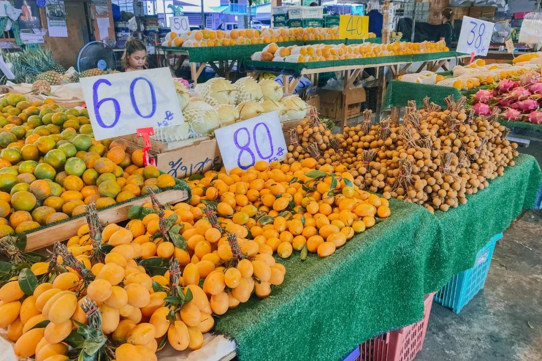 鍘绘嘲鍥芥浖璋峰拰鑺彁闆呯殑鏀荤暐,鍘绘嘲鍥界帺杞浖璋疯姯鎻愰泤