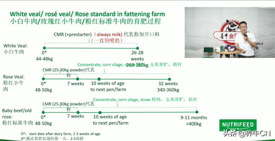 奶公犊牛饲养效益分析,奶公小牛犊如何饲养