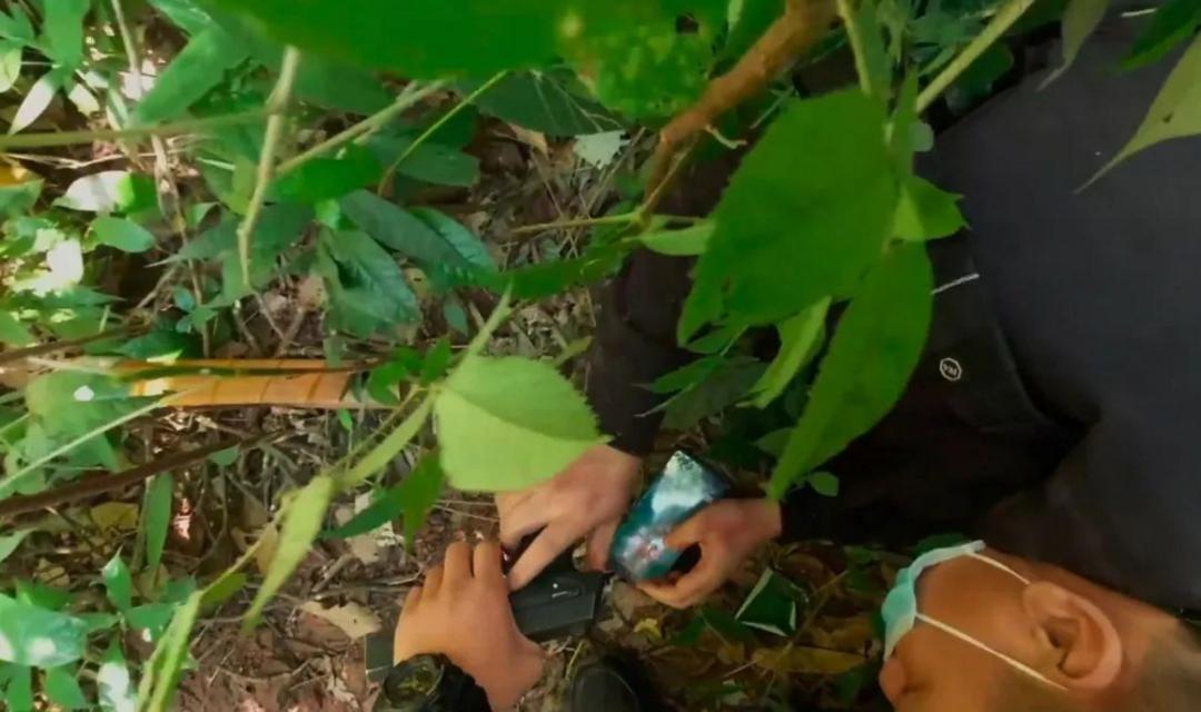 缉毒警察执行最后一次任务,缉毒英雄告别仪式