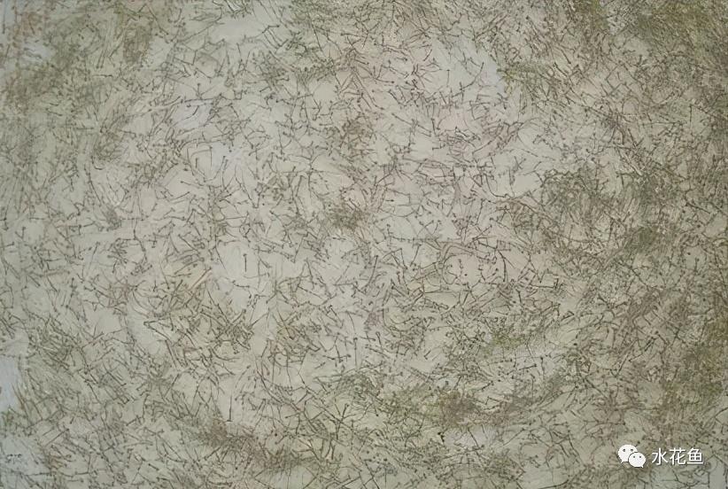 家鱼养殖如何投苗,养殖鱼技术和鱼苗