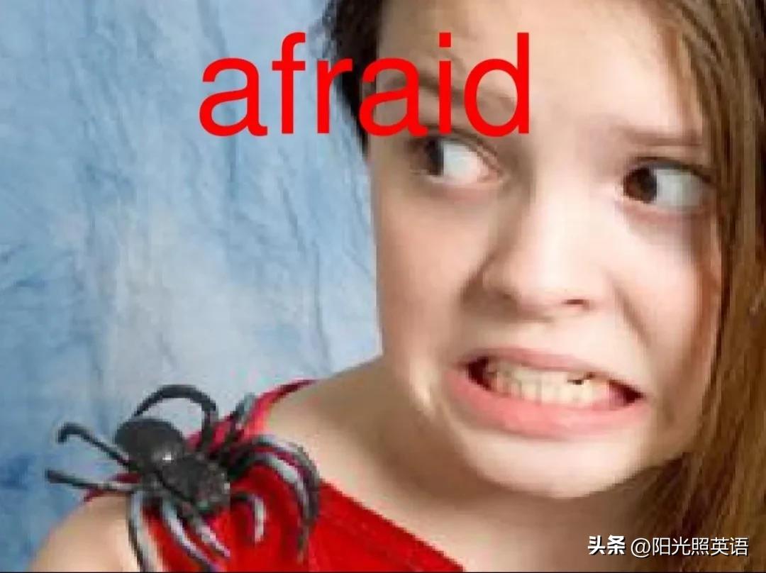 初一下册英语unit3重点课堂笔记,一年级下册英语unit3课文教学