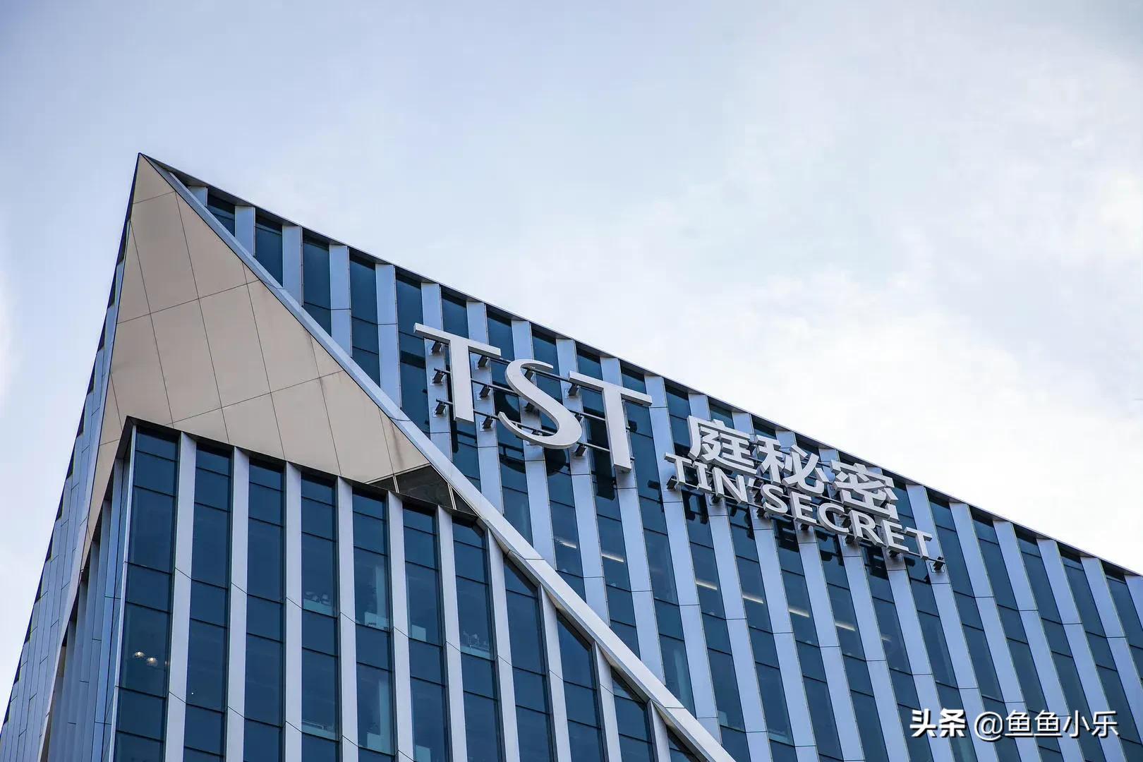 张庭林瑞阳夫妇传销事件始末,张庭林瑞阳夫妇传销案结果