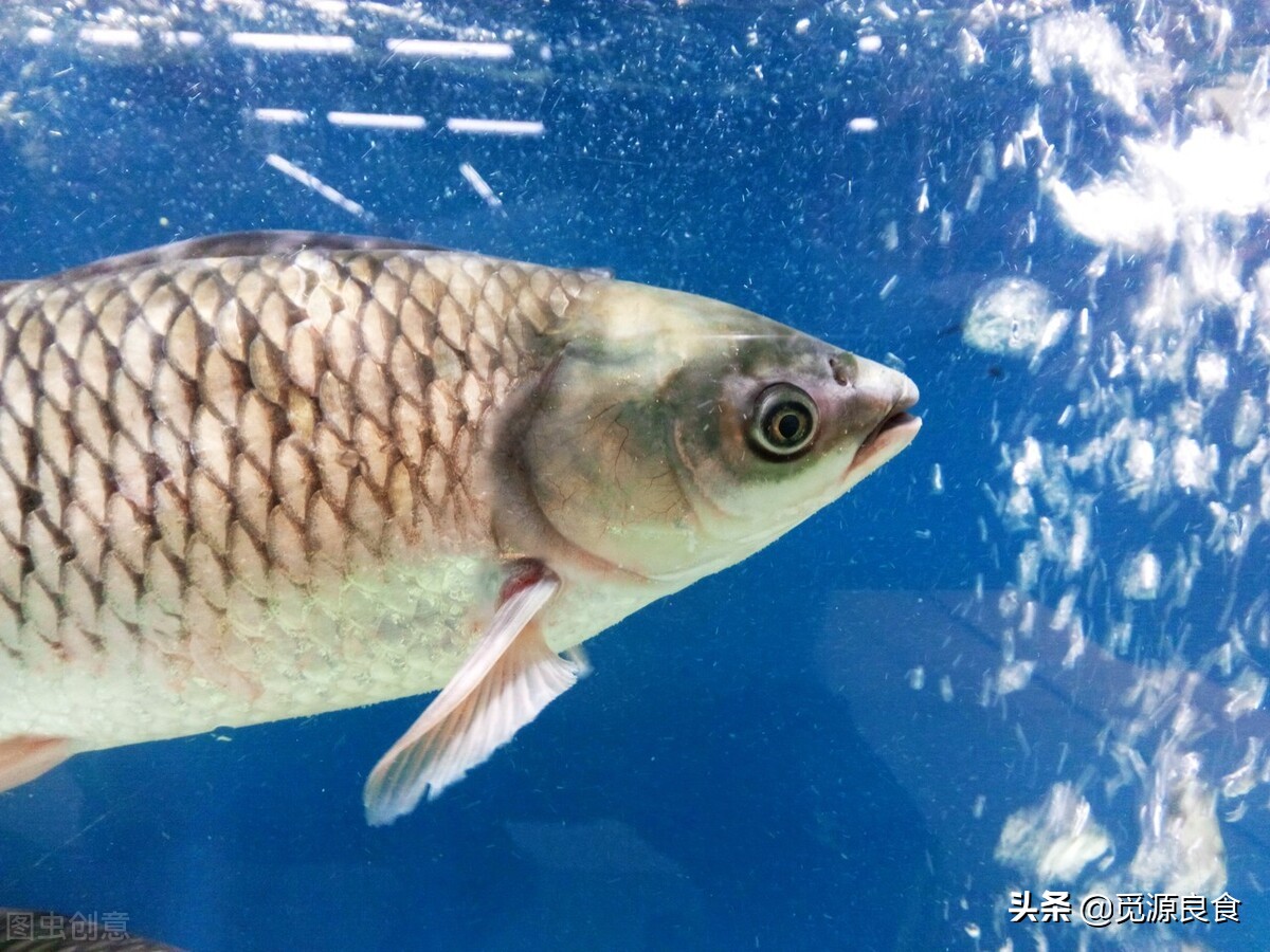 炸丸子放鸡蛋的标准是什么,炸丸子放馒头多少合适