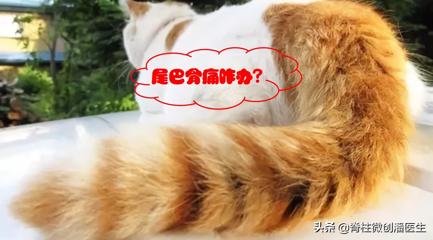 尾巴骨疼是什么原因,尾巴骨痛的缓解办法