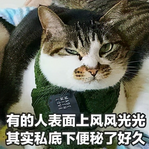 清宿便别再缴纳智商税了,清宿便是智商税吗