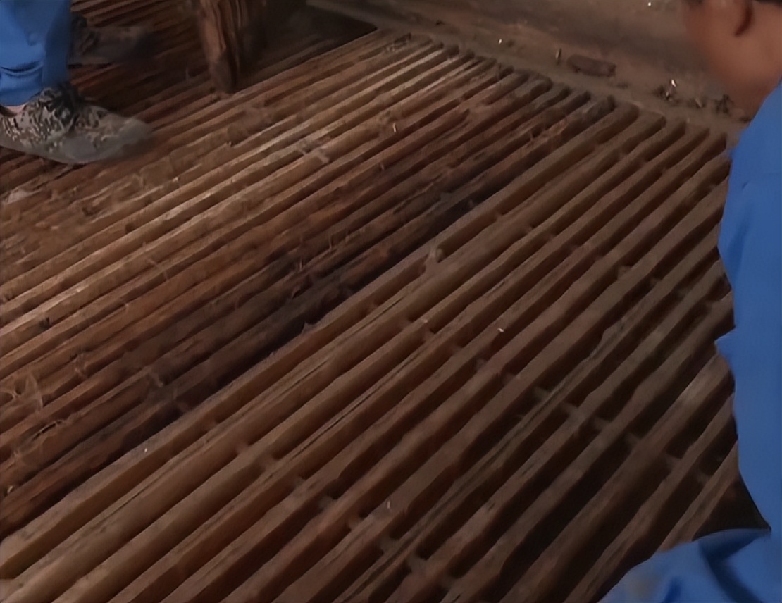 养殖羊的成功案例,大量养羊成功案例