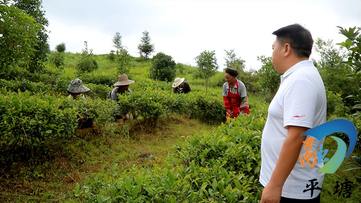八一建军节看望在乡复员老军人,八一建军节村书记慰问退役老军人