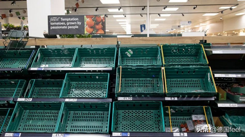 菜荒！英国超市限购对德国有影响吗？这款3欧蔬果盲盒你值得拥有