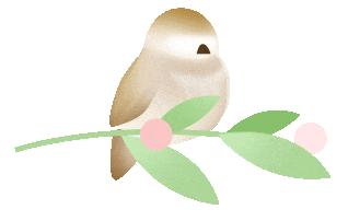 冬天这么冷去北温泉泡泡温泉可好,春寒来了怎么养生