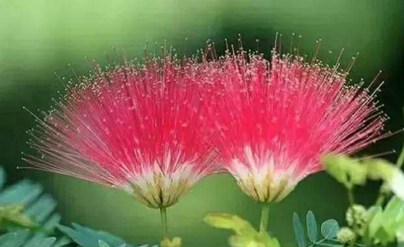 铁道兵战友相聚诗,铁道兵战友之歌简谱