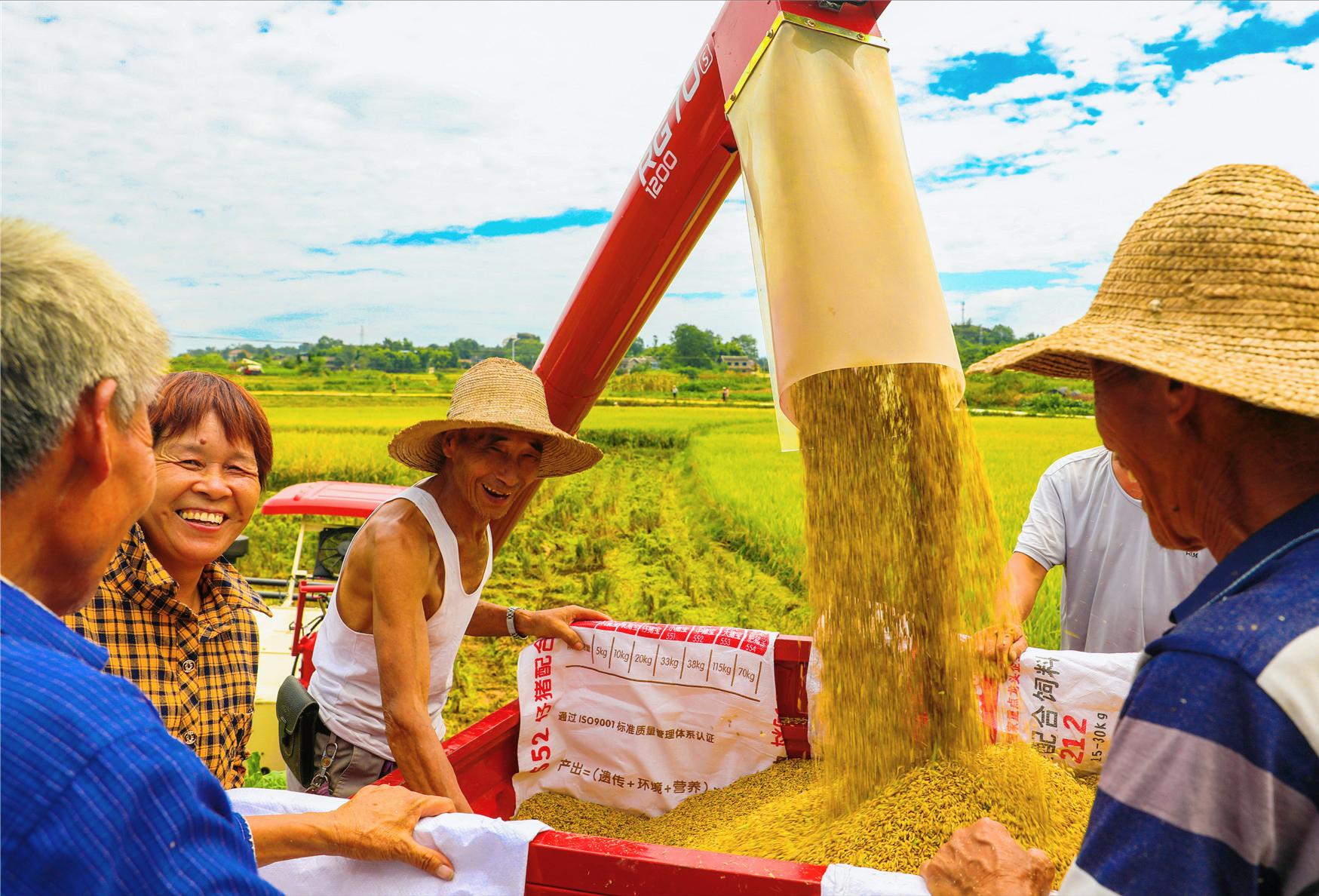 中央对贫困地区的补助标准,中央100亿补助农民如何下发的