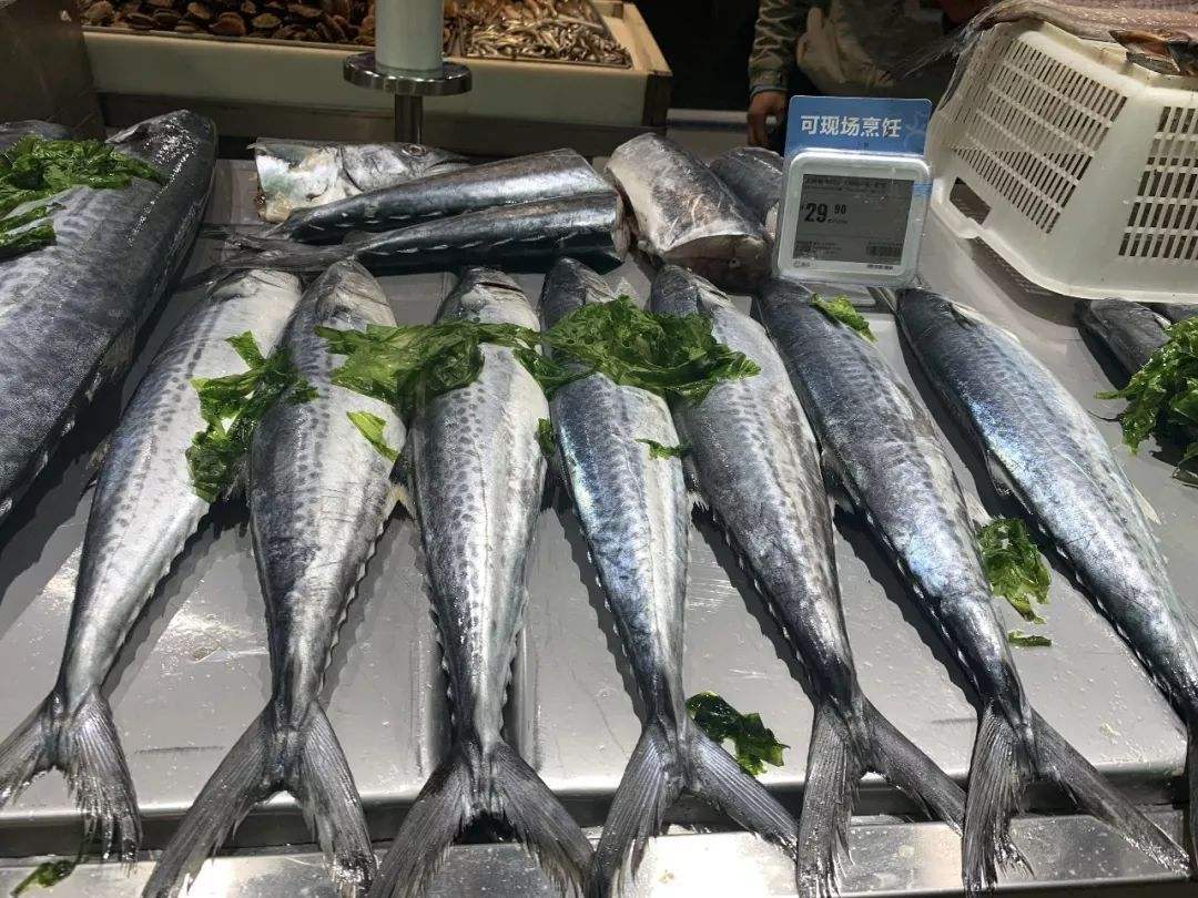 纯野生养殖不了的海鱼,如何挑野生海鱼跟养殖海鱼