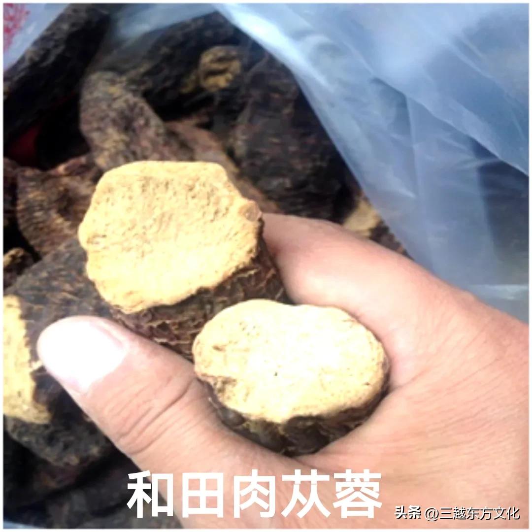 道地沙漠肉苁蓉产于哪个沙漠,道地中药材肉苁蓉