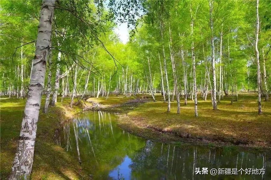 暑假北疆旅游攻略详细,五一适合去南疆还是北疆