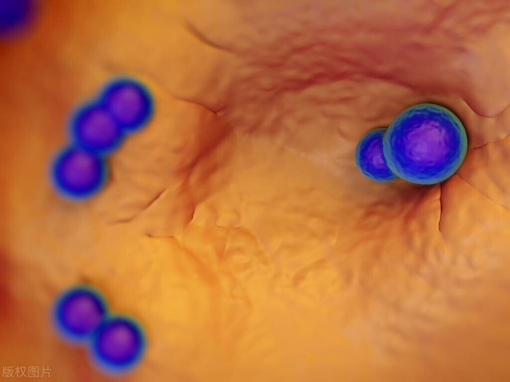 通过性传播的病有哪些不能治愈,通过性传播的疾病可以治愈吗