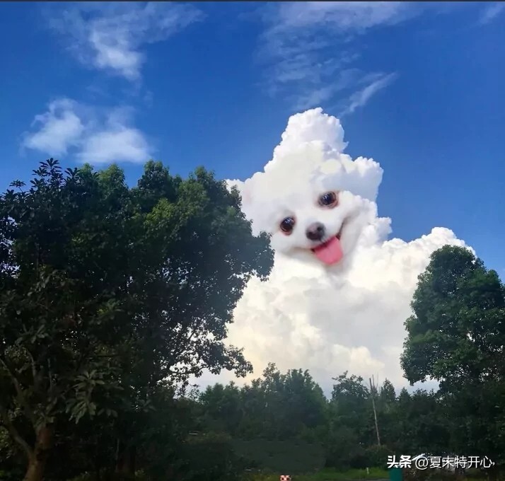 6个搞笑小故事让你笑得合不拢嘴,房地产房源搞笑小故事100个