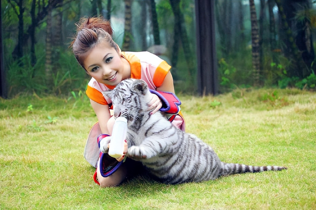 梦幻新春活动2021攻略挑战年兽,梦幻每个月第二个周末什么活动