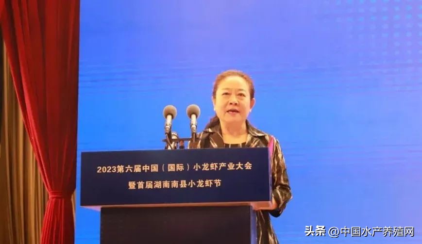 2023年南县小龙虾价格行情,南县小龙虾价格报价