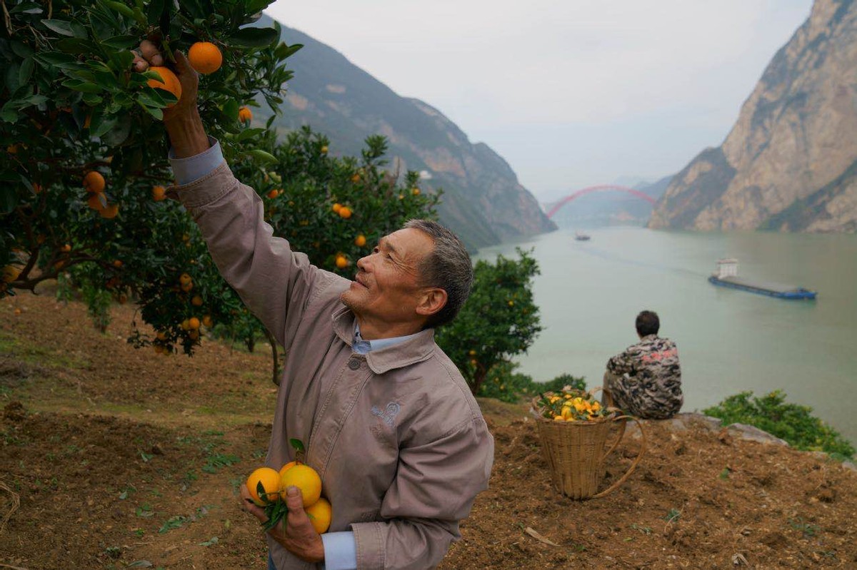 三峡移民珍贵影像,摄影师记录三峡移民