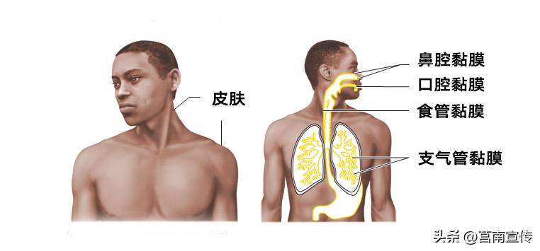 发现息肉，离癌有多远？