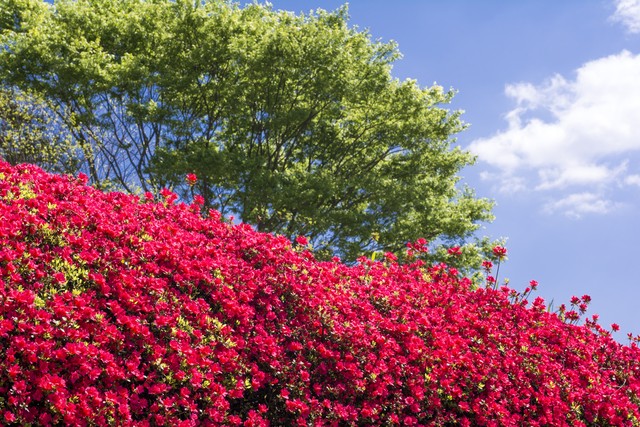 让自己变年轻的12个好习惯,让自己气质变好的方式