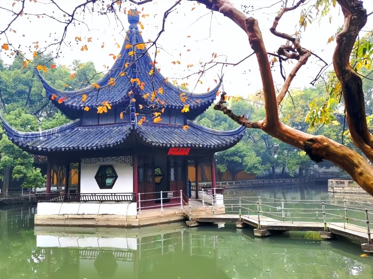 苏州秋季旅游最值得去的地方,苏州赏秋一日游攻略