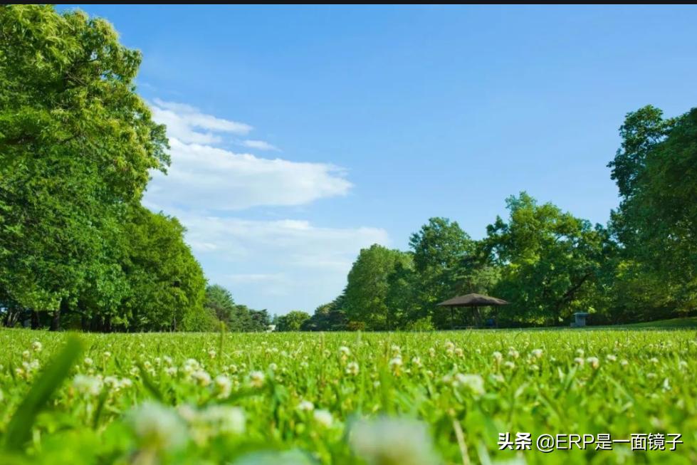孩子背课文就哭怎么办,孩子背课文有什么技巧