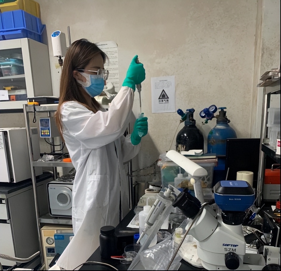 跑市场搞调查写报告、留校做项目做实验……深圳高校学子假期实践忙