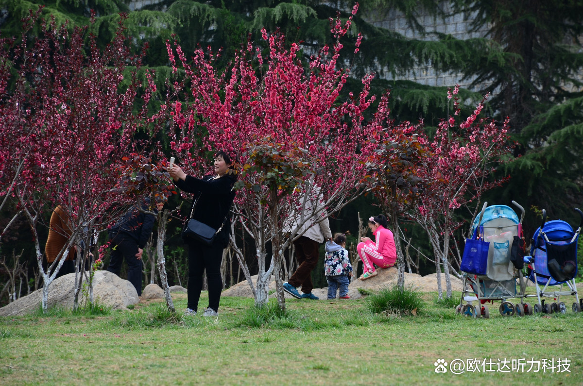 助听器戴上耳机为什么会嗡嗡响,助听器能听到正常人一样的声音吗