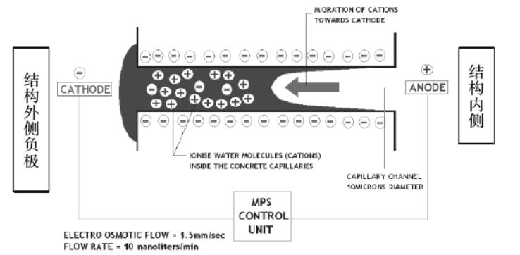 地下室潮湿又发霉怎么解决,地下室潮湿发霉装排气扇