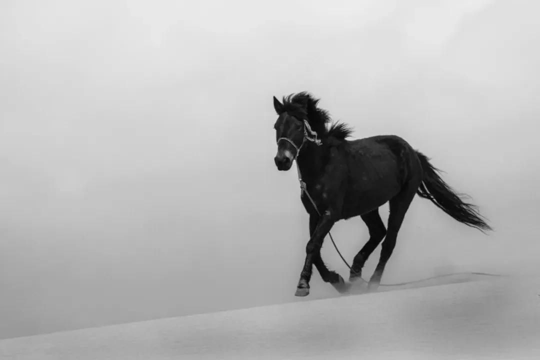有哪些看一眼就想抄下来的诗,有哪些书是你看到人就想推荐的
