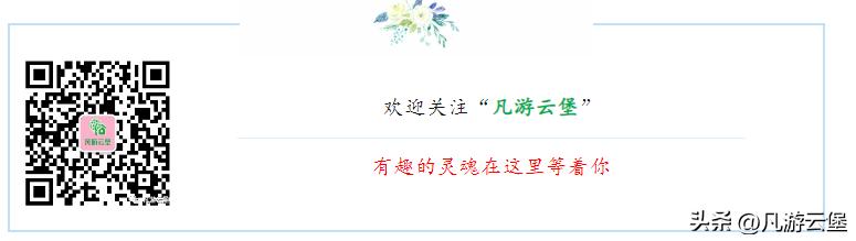 高考志愿填报家长最关心哪些问题,高考志愿填报家长应做哪些准备