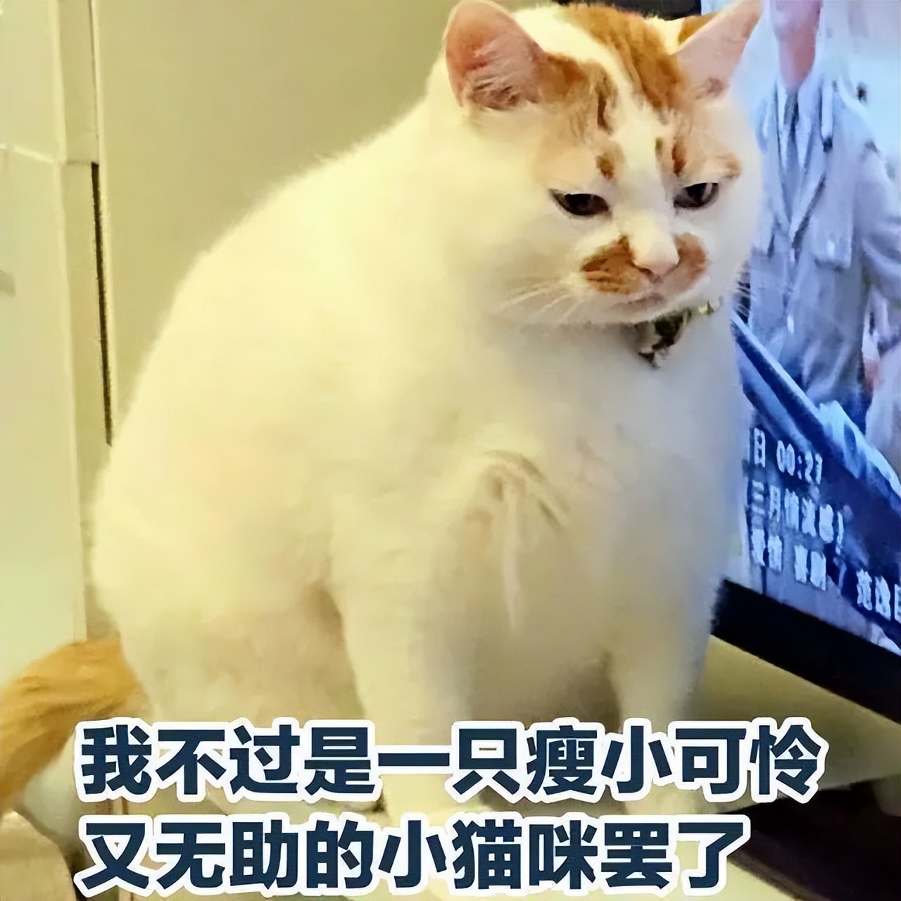 steam夏促2021值得入手的大作免费,steam冬季大促2022大作必买