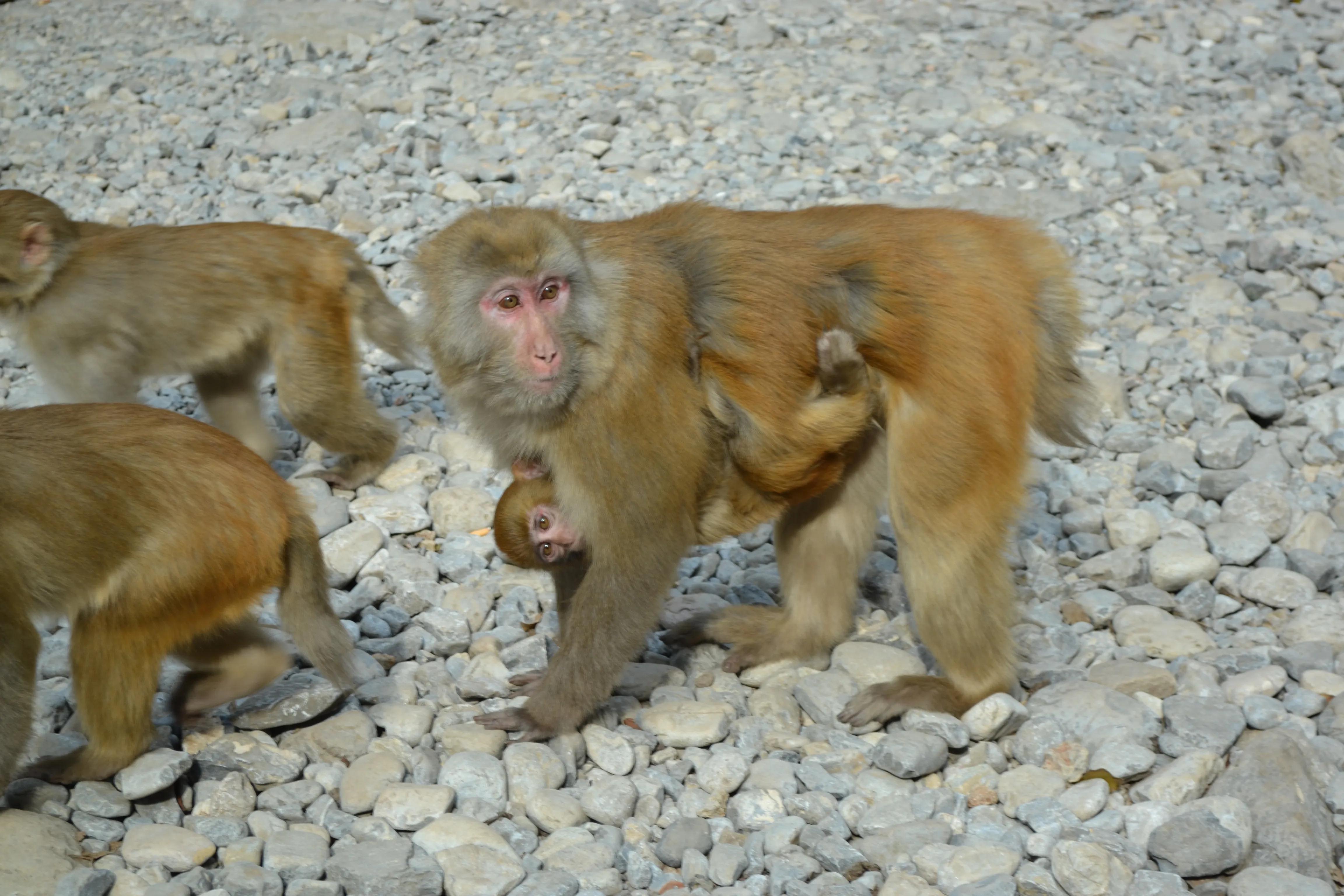我的驴行日记——山西晋城蟒河