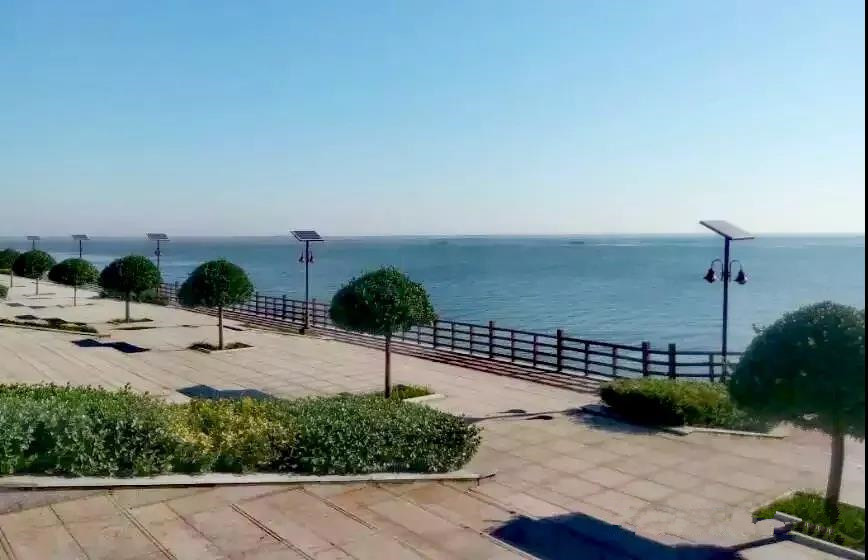 团泊洼的秋天的阅读感悟,团泊洼的秋天朗诵视频