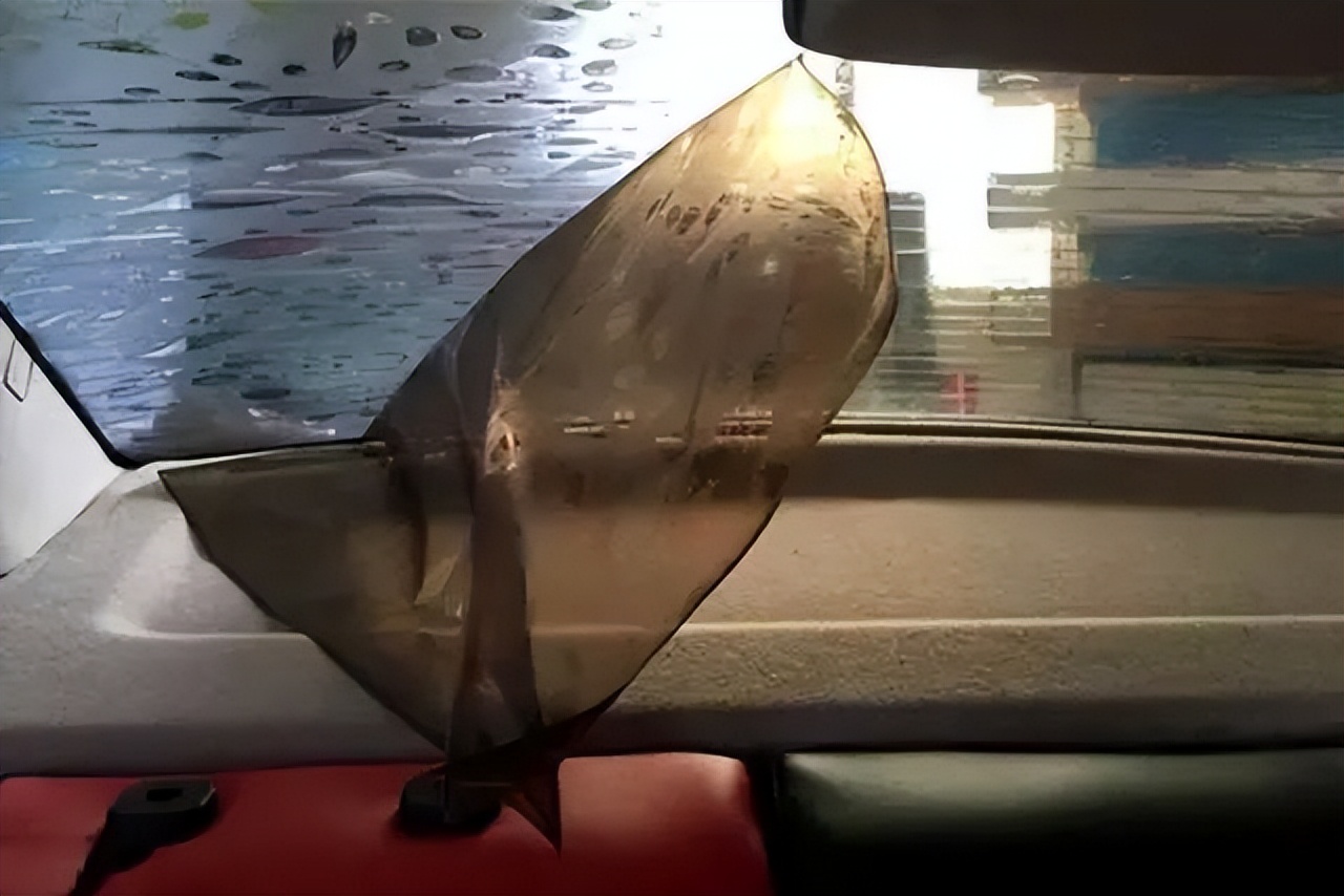 隔热膜有坑吗,隔热膜是真的假的