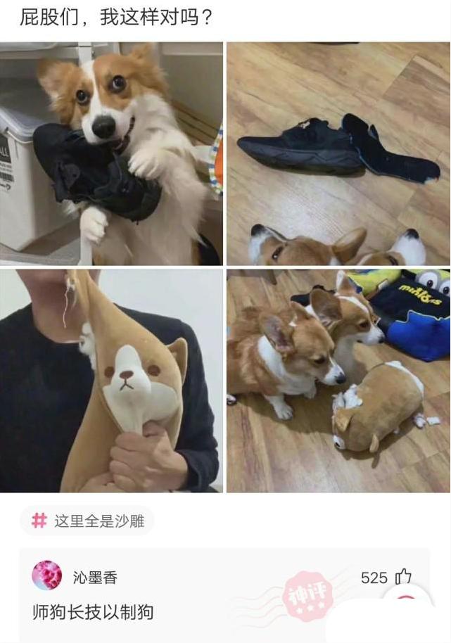 别人叫你拼多多砍一刀搞笑回复,发拼多多的人神回复