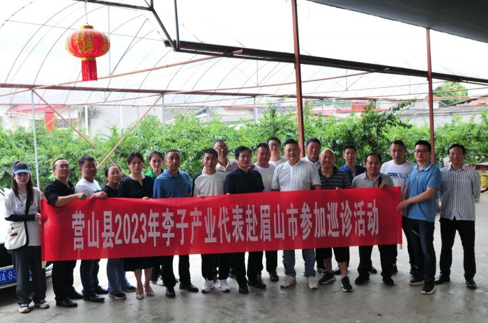 营山小吃创业技术培训基地,四川营山创业项目