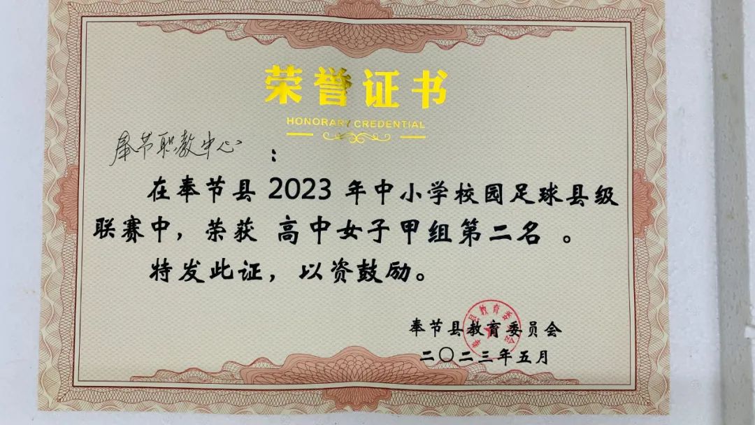 奉节职教中心足球赛,奉节县中小学生足球联赛